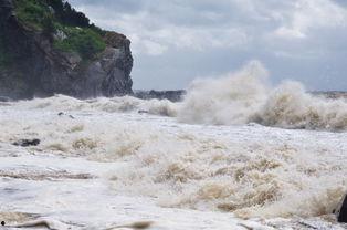 惊涛目击,揭秘海洋深处的神秘奇观
